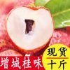 商品图像