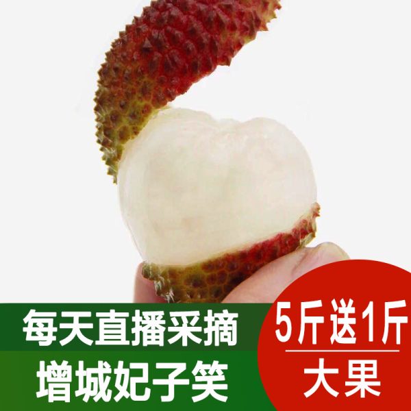 【顺丰】海南妃子笑荔枝5斤新鲜当季水果现摘不泡水10整箱包邮